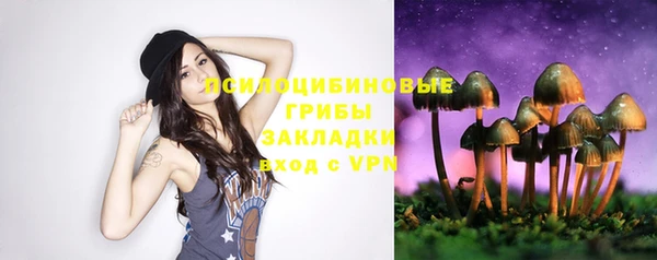 мяу мяу мука Белоозёрский