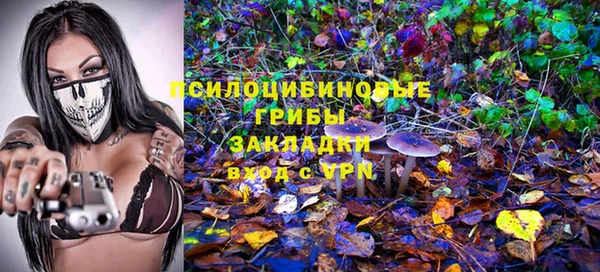 мяу мяу мука Белоозёрский