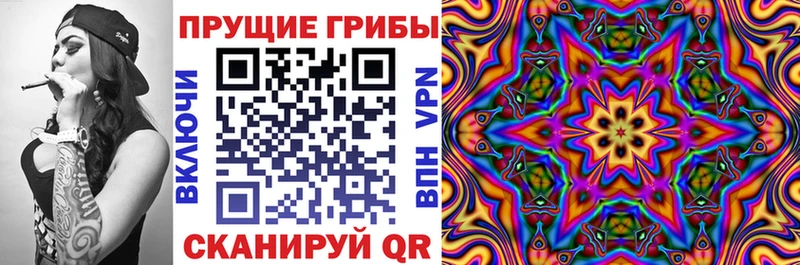 Галлюциногенные грибы Psilocybine cubensis  Шебекино 